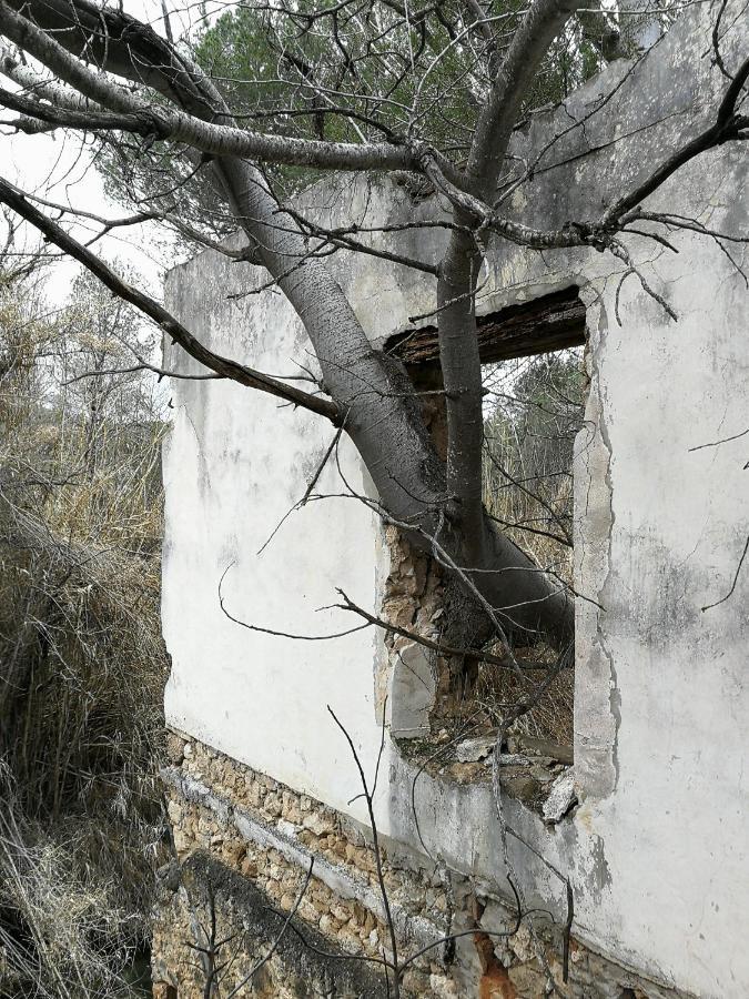 Casa Rural Rio Cabriel Villamalea Luaran gambar